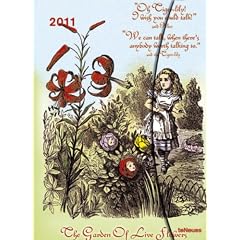 Magneto Diarie gro� Alice 2011