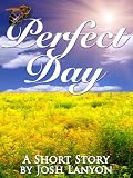 Perfect Day
