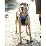 Sporn No-Pulling Mesh Control Harness, Large / XL - Blue