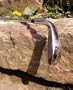 Crossgolf Golfschl�ger 7er Eisen Stahlschaft (rechtshand, Marke Longridge)