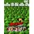 �}�[�Y�E�A�^�b�N! [DVD]