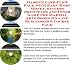 Search : The Secret Generate Extra Cash, Marketing and Inner Game for Martial Arts Books On-line Businesses 3 CD Pack