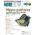 細胞工学 Ｖｏｌ．３０Ｎｏ．９（２０１１） 特集：ベールを脱ぐ臓器サイズ制御シグナル：Ｈｉｐｐｏ Ｐａｔｈｗａｙ（仮）<br>畑裕　 仁科博史 監修　 <br>1890円<br>ISBN:9784780901221　