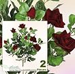 TWO Bundles of 22" Velvet Rose Bushes with Gyps _ Red