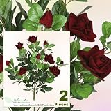 TWO Bundles of 22" Velvet Rose Bushes with Gyps _ Red