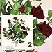 TWO Bundles of 22" Velvet Rose Bushes with Gyps _ Red