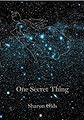One Secret Thing [Paperback]