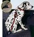 Kleinmetall DOG MASTER 2676638 AUTO-SICHERH.GURT F.HUNDE