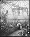 Photo Interior, Horticultural Building, Belle Isle Park, Detroit, Mich.