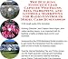 Book The Guerilla Marketing, Building Effective Lead Capture Web Pages, SIVA Marketing for Radio Controled Model Cars Businesses