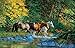 Bear Creek Crossing 1000 pc Jigsaw Puzzle