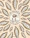 Image of Junonia