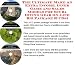 The Ultimate Make An Extra Income, Inner Game and Sales Models for Scuba Diving Gear On-line Biz Package (3 CDs)