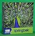 Springbok Eyes of Color 1000 Piece Jigsaw Puzzle