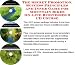 Book The Secret Promotion, Success Principles and Inner Game for Mountain Bikes On-line Businesses 3 CD Course
