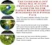 The Incredible Get More Biz, Success Principles and Inner Game for Silver Napkin Rings Internet Businesses 3 CD Power Pack