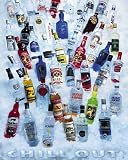 LAMINATED Chill Out Vodka Party 20 x 16 (50 x 40cm) MINI POSTER