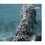 Done With the Scene [VINYL]