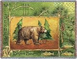 Brown Bear Throw - 69 x 48 Blanket/Throw