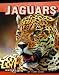 Jaguars (Edge Books: Big Cats)