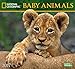 National Geographic Baby Animals 2017 Wall Calendar