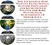 The Incredible How To Earn Extra Money, Success Principles and Accounting & Finance for Baby Diaper Bags Businesses 3 CD Power Pack