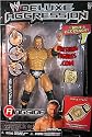 WWE Wrestling DELUXE Aggression Series 22 Action Figure HHH