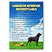 Labrador Retriever Property Laws Fridge Magnet (Black)