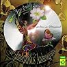 Image of album by Amorphous Androgynous