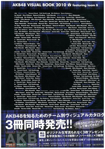「AKB48 VISUAL BOOK 2010 featuring team B」