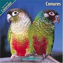 Conures 2010 Wall Calendar #11088-10