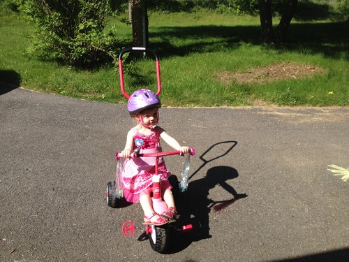 Bell Toddler Zoomer Bike Helmet (Castle/Purple) Images