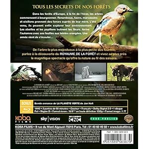 Le Royaume de la Forêt - Blu-ray