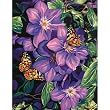 Paint By Number Kit 11"X14" - Clematis & Butterflies