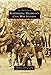 Remembering Michigan's Civil War Soldiers (Images of America)