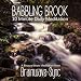 Babbling Brook
