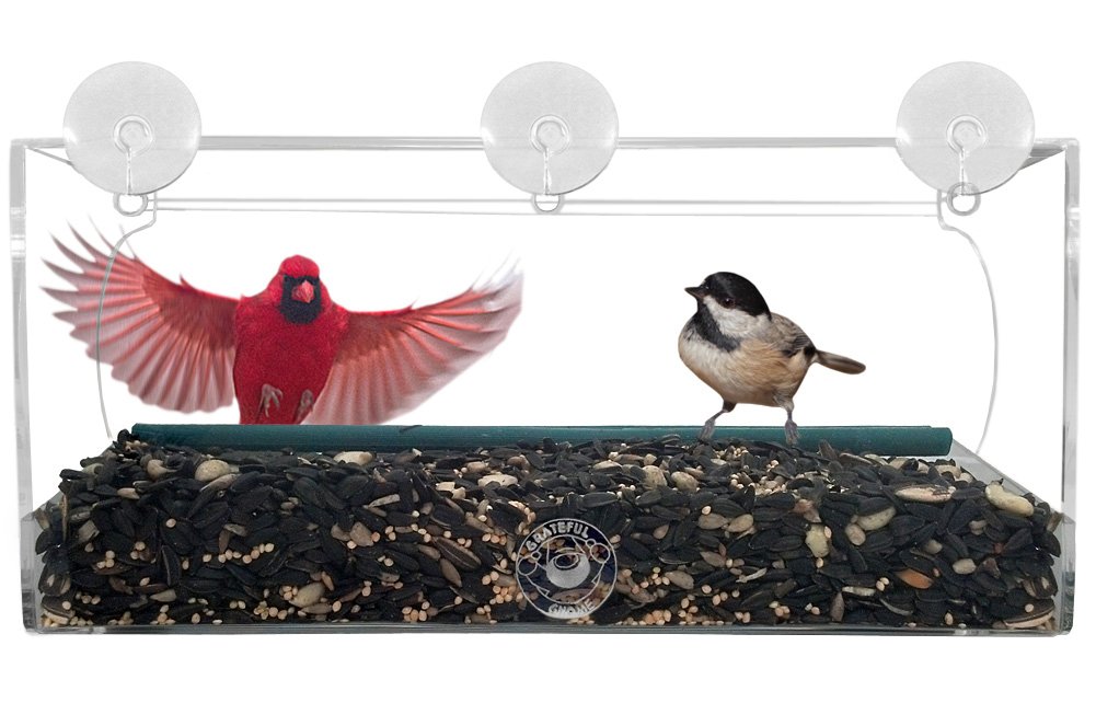 Amazon.com : Grateful Gnome - Long Window Bird Feeder For Small ... Amazon.com : Grateful Gnome - Long Window Bird Feeder For Small ...