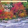 The Colors of Fall: A Celebration of New England's Foliage Season