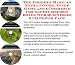 Search : The Insider's Make An Extra Income, Inner Game and eCommerce for Safety Deposit Boxes Web Businesses 3 CD Power Pack