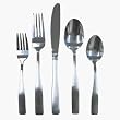 Cambridge Silversmith 26345PSGM13 Madison Satin Flatware Set