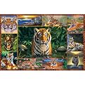 Ravensburger Tiger 5,000 pc pzl