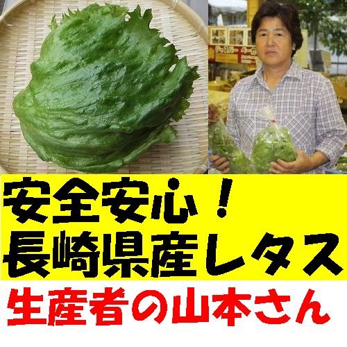 九州　長崎県産　農産物直売所　販売用　レタス