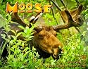 Moose 2010 Calendar