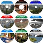 The Exclusive Nine CD No Money Down, Wealth Generating, Real Estate Mentoring System book cover