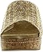 Volatile Women's Beachtime Wedge Sandal