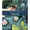 The New Secret Language of Dreams (The Illustrated Key to Understanding the Mysteries of the Unconscious) (Paperback)