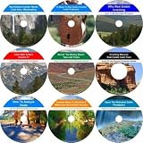 The Incomparable 9 CD No Down Payment, Flexible Seller, Real Estate Mentoring System