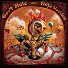 Click here to buy D�j� Voodoo by  Gov't Mule .