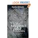 The Serpent Pool: A Lake District Mystery (Lake District Mysteries)