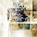 Saeta-Else Another Light Might